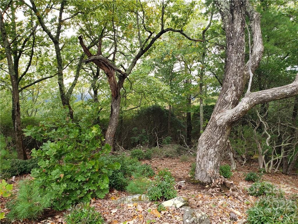 104 Windcliff Drive