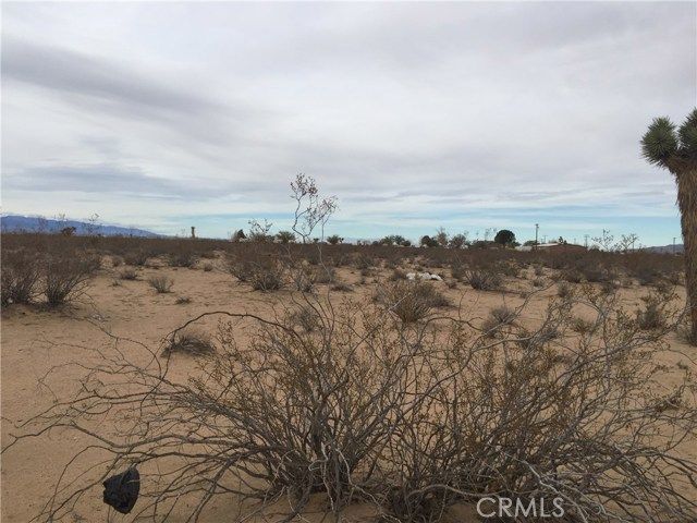 Cholla Avenue