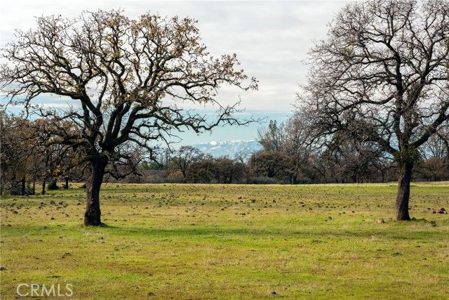 Richardson Springs Road