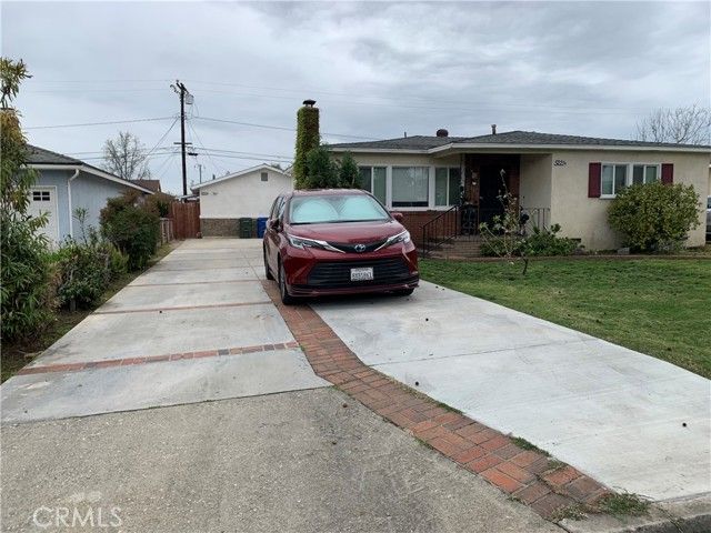5221 Camellia #B