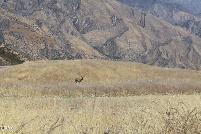 Piru Canyon Road