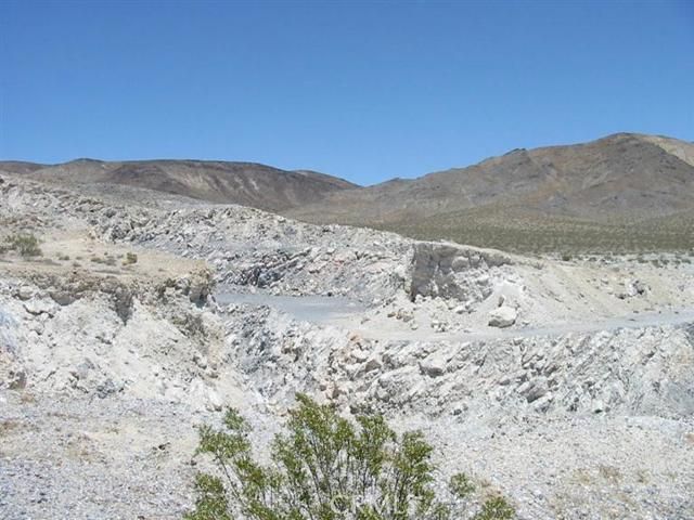 Wildrose Road