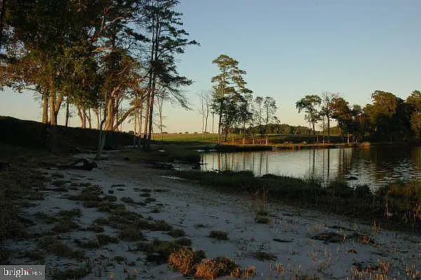 Piney Neck Road