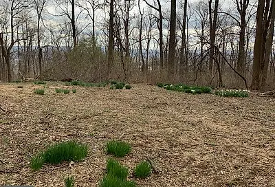 19802 Old Blueridge Road Bluemont VA 20135