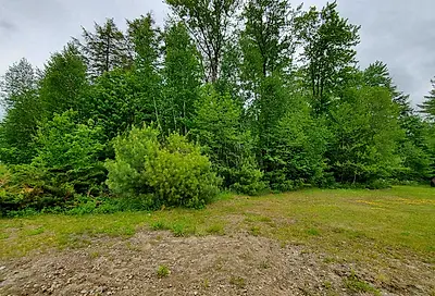 Lot 16 Strawbrook Lane Canaan NH 03741