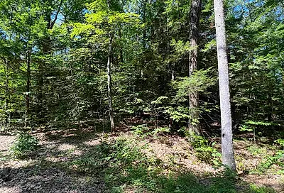 Lot 155 Rumford Drive Webster NH 03303