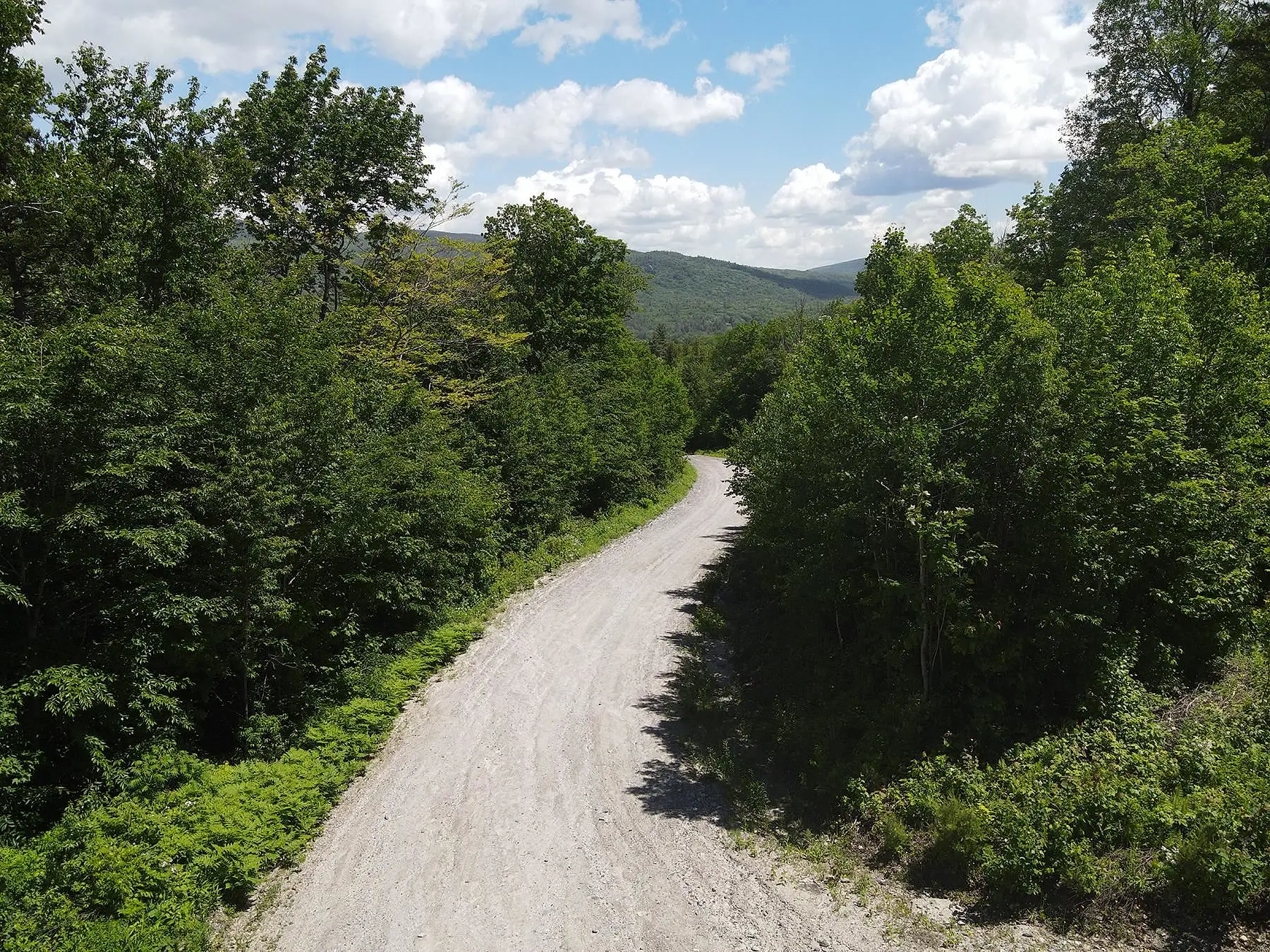 Hardy Country Road