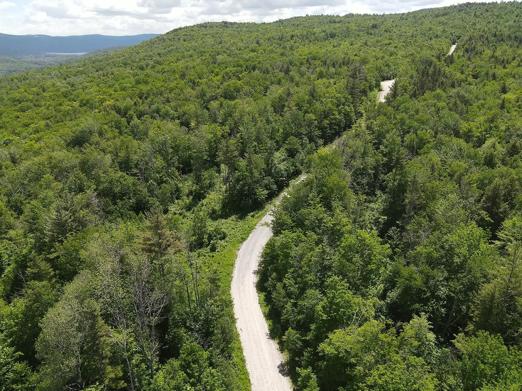 Hardy Country Road