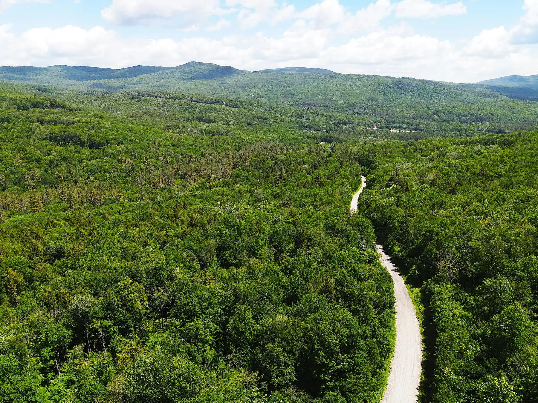 Hardy Country Road