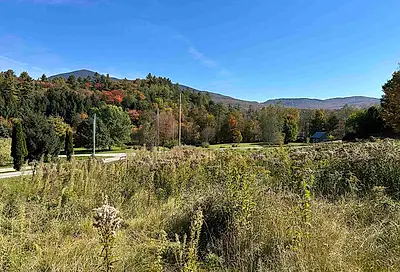 lot 4 Cold Spring Road Lincoln VT 05443