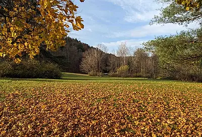 Float Bridge Road Castleton VT 05735