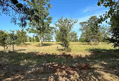 Lot 5 CR 3612 Brownsboro TX 75756