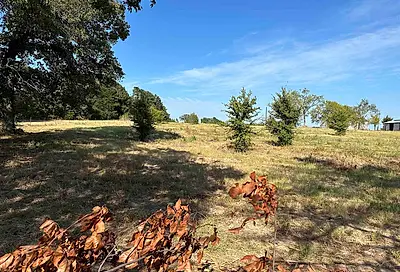 Lot 7 CR 3612 Brownsboro TX 75756