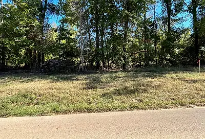 CR 2123 (lot 10) Whitehouse TX 75791