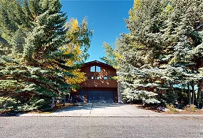 1233 Silver Circle Red Lodge MT 59068