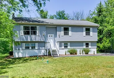 110 Armstrong Rd Montague Twp. NJ 07827-3147