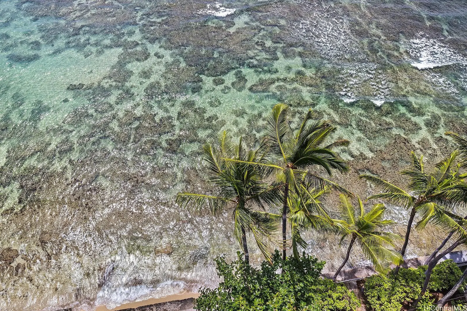 3019 Kalakaua Avenue