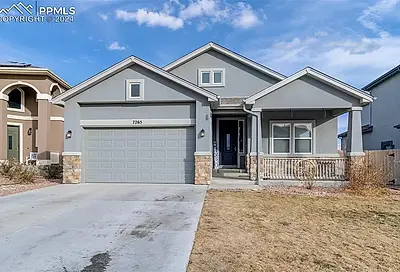 7265 Alpine Daisy Drive Colorado Springs CO 80925