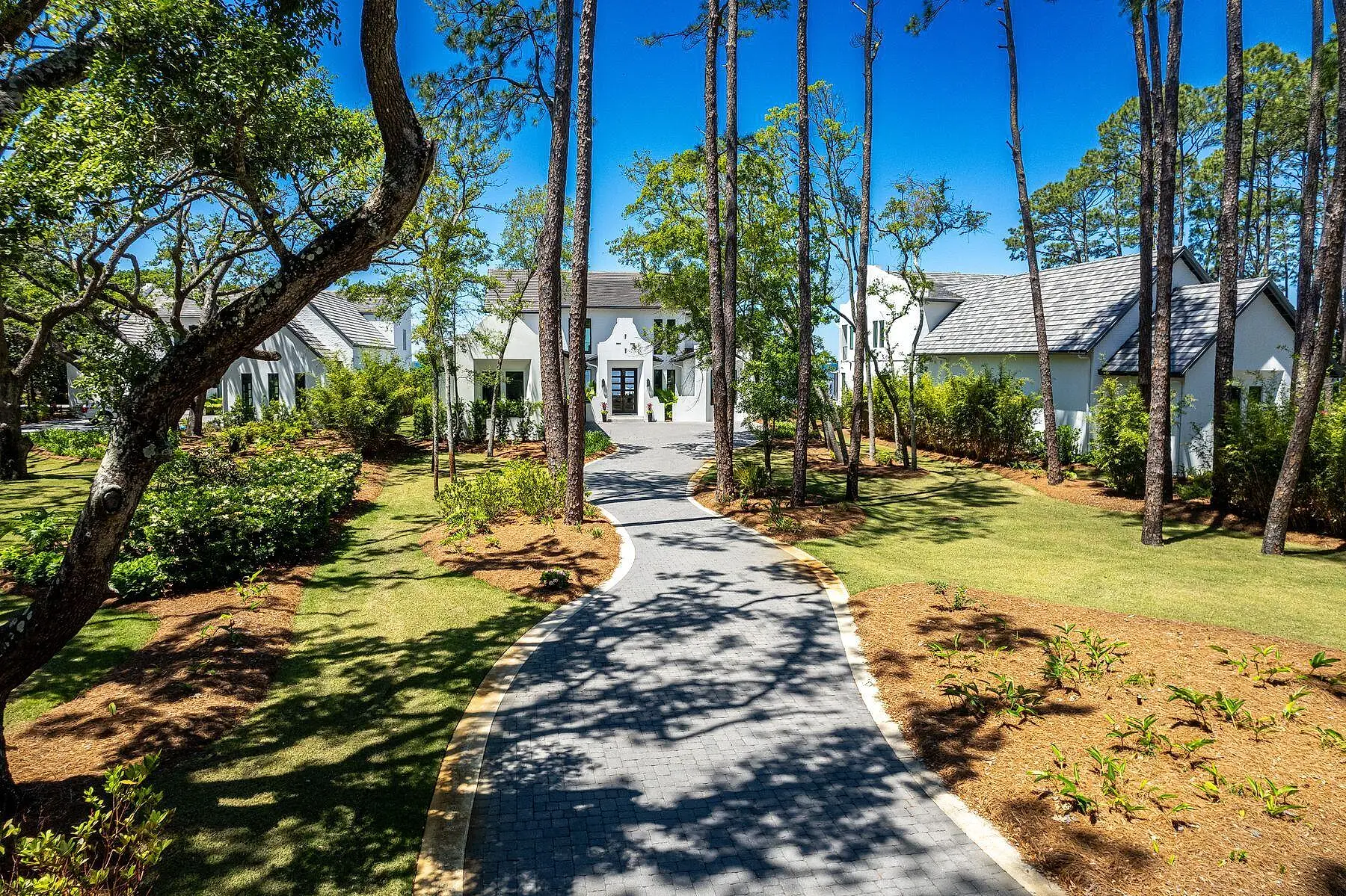 343 Driftwood Point Road