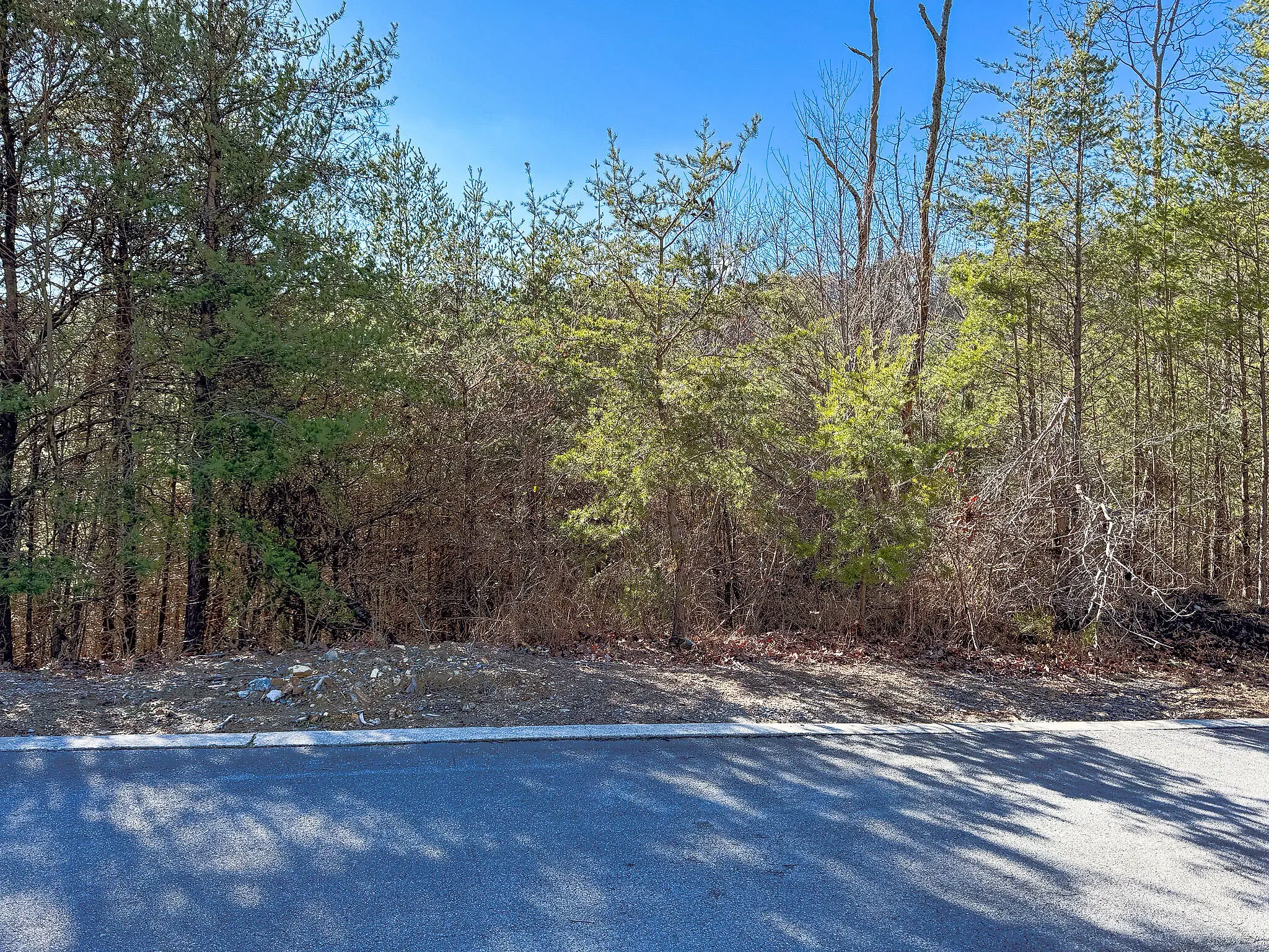 Lot 4 Bald Eagle Ln