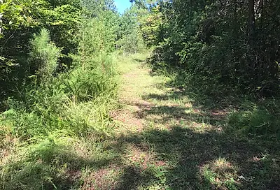 39.9 Ac. Boiling Springs Rd. Vonore TN 37885