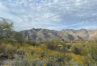 N Camino Del Mar Tucson AZ 85718