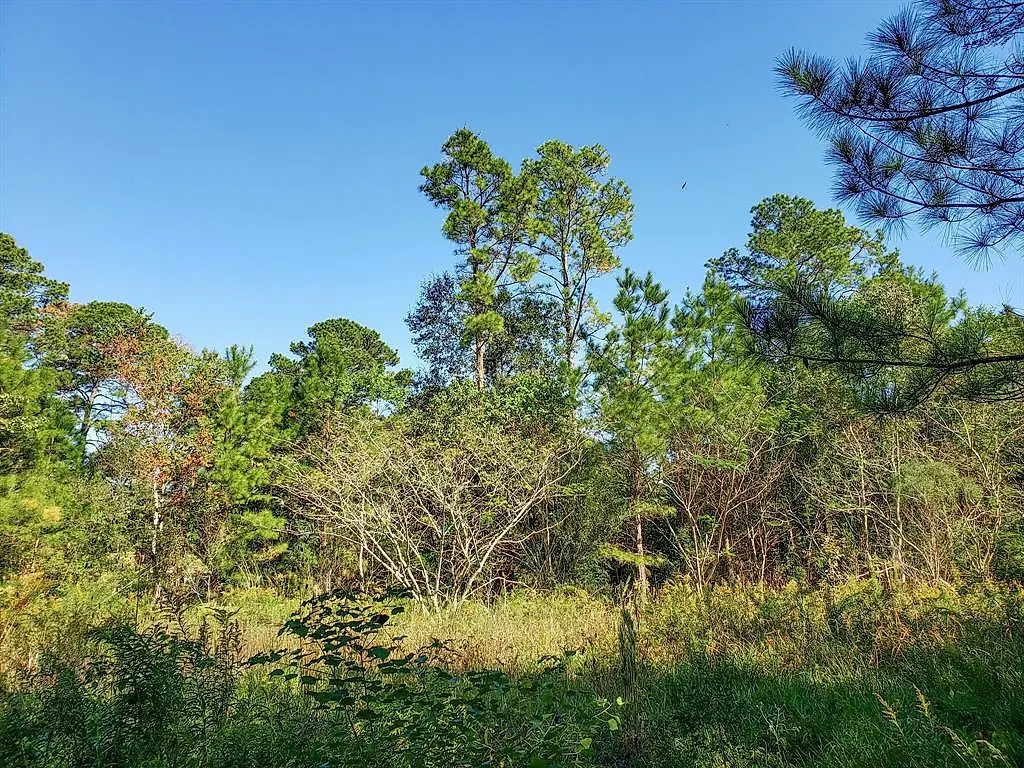 Lot 13 Caperidge Court