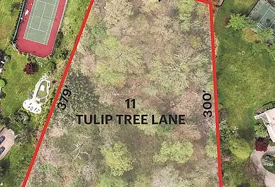 11 Tulip Tree Lane Alpine NJ 07620