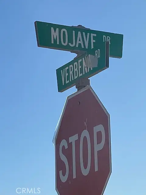Mojave/Verbena