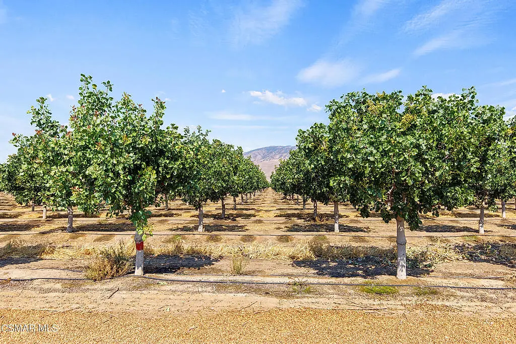 Tejon Highway