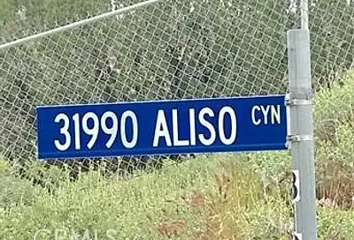 Aliso Acton Ca 93510