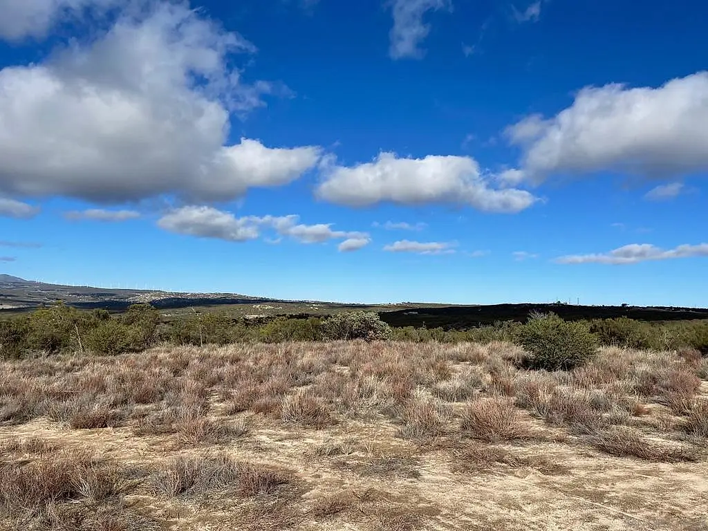 Vista Del Cielo