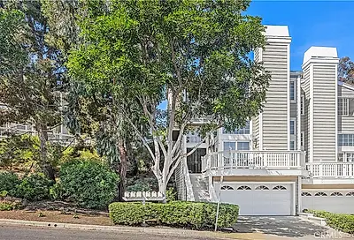 33255 ocean ridge dana point ca 92629