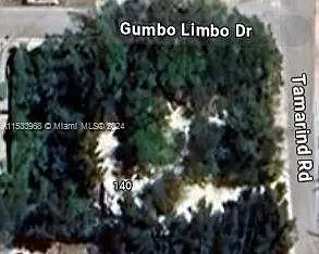 Gumbo Limbo Dr