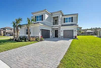 32244 Logan Elm Terrace Other City   In The State Of Florida FL 33543