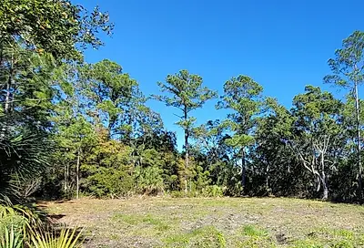 Lot 5 Blue Dolphin Drive Crawfordville FL 32327