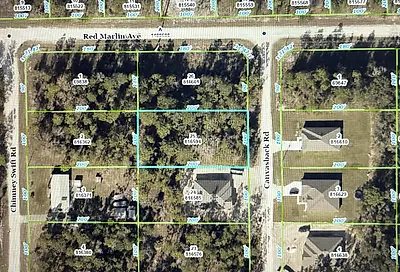 Canvasback Road Weeki Wachee FL 34614