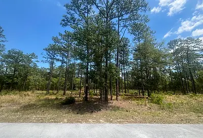 NW Tree Top Dunnellon FL 34431