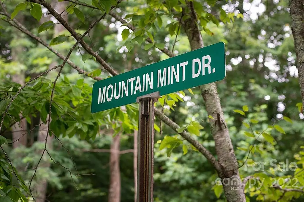 15 Mountain Mint Drive