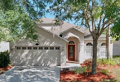 20120 Still Wind Drive Tampa FL 33647