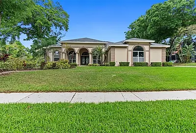 2501 Oak Landing Drive Brandon FL 33511