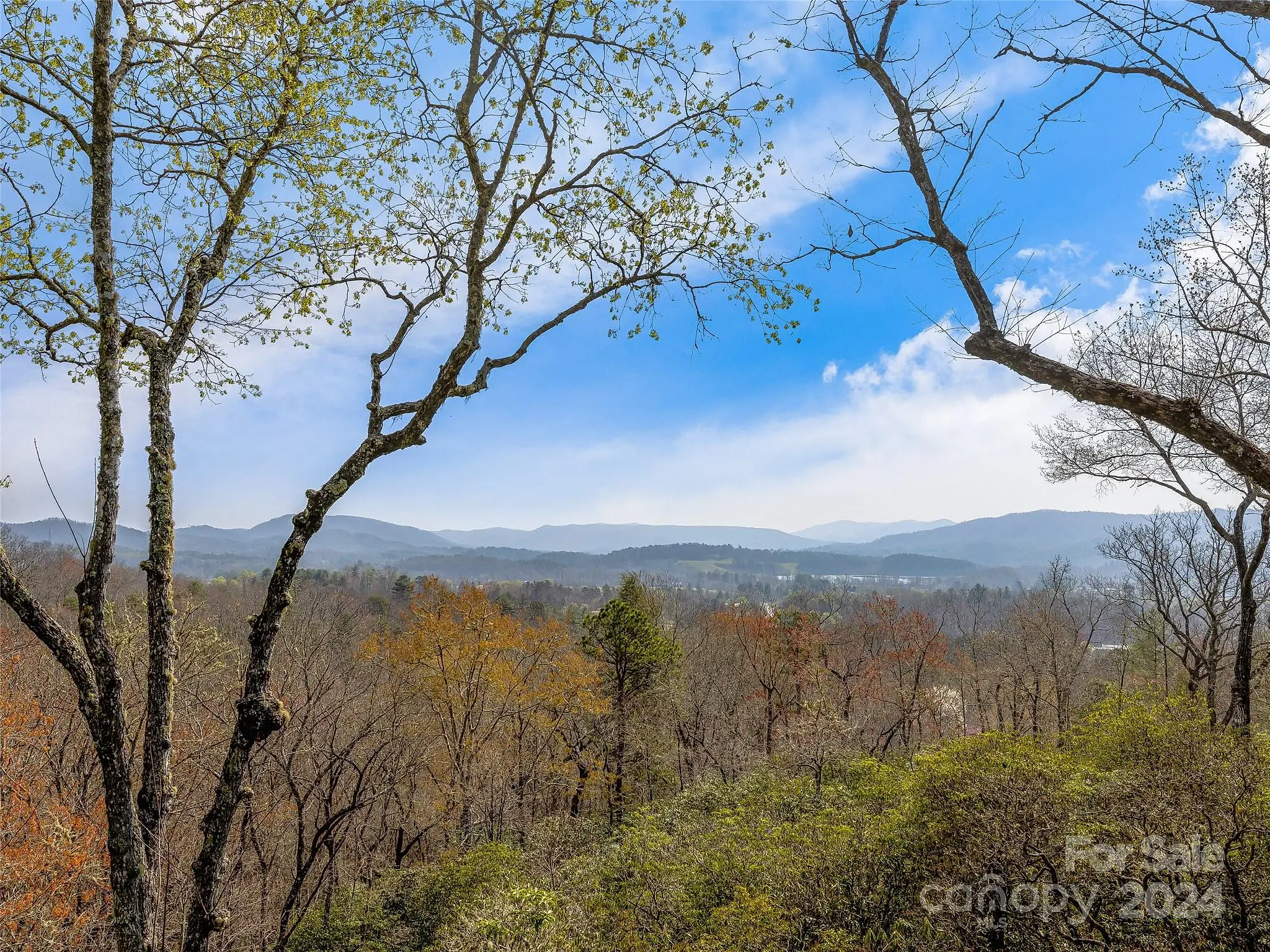 250 Stone Creek Trail