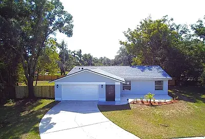 502 Hillside Court Brandon FL 33510