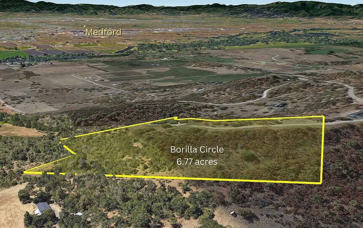 Borilla Circle