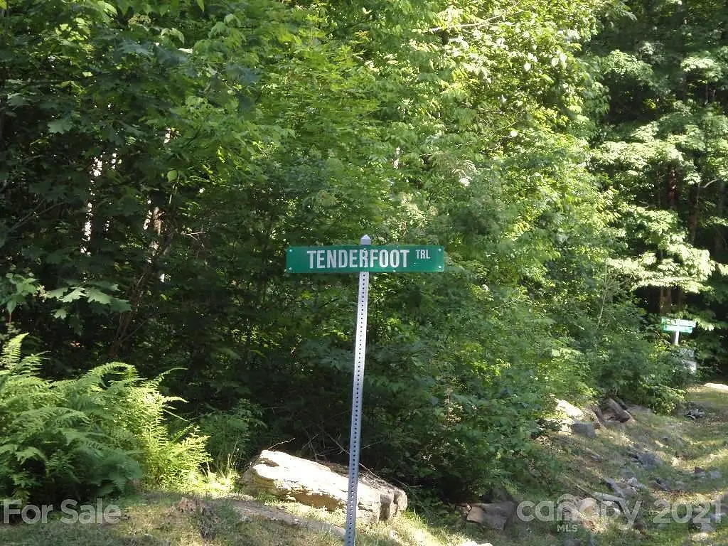 100 Tenderfoot Trail