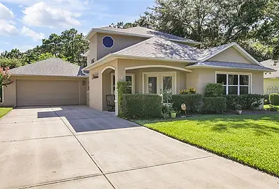 4 Meadowrun Court Ormond Beach FL 32174