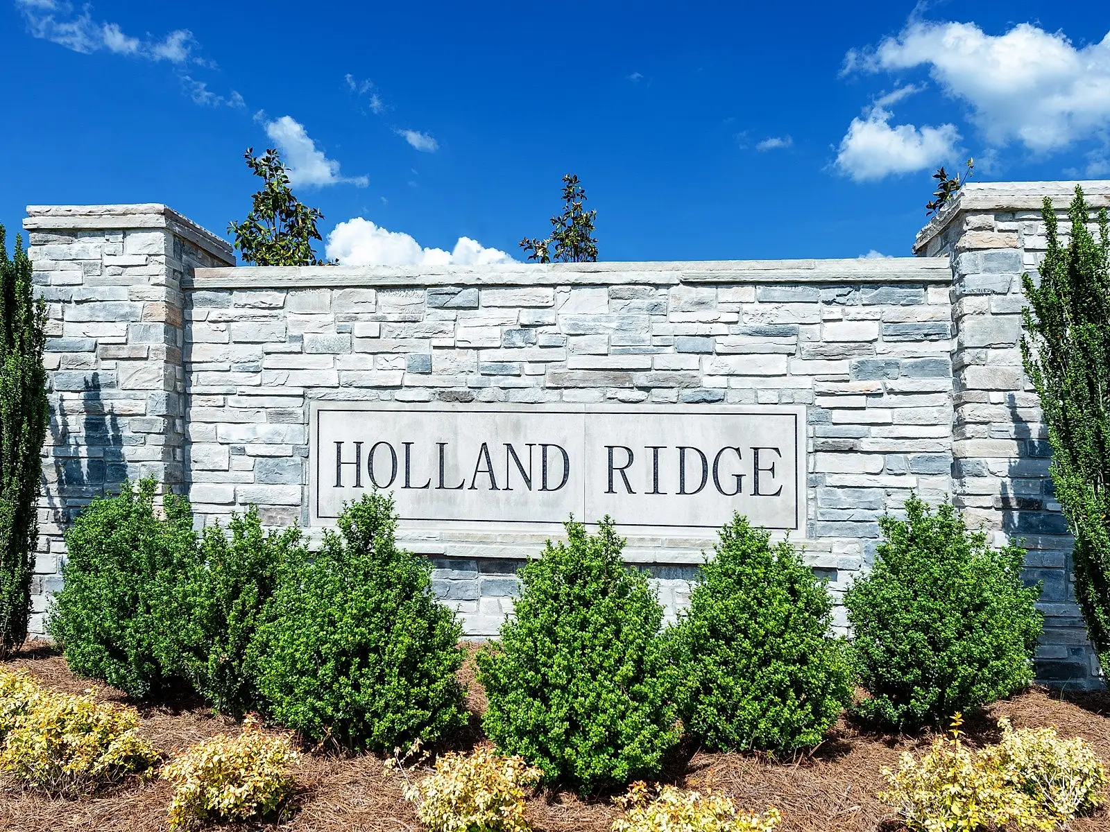 1045 Holland Ridge Way