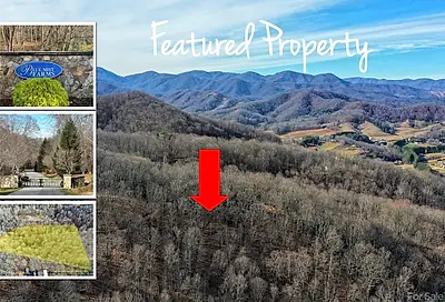 221 View Ridge Parkway Leicester NC 28748
