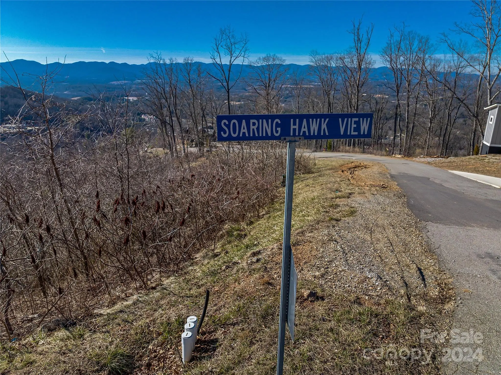 5 Soaring Hawk View