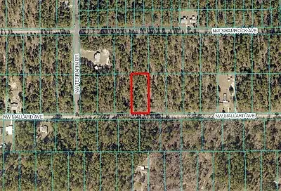 00 NW Mallard Avenue Dunnellon FL 34431